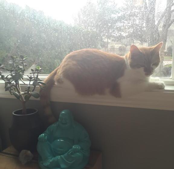 酒店 Serenity Stay Bed & Breakfast