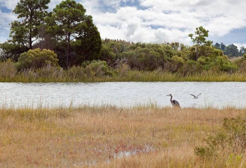 ホテル Sun Retreats New Point