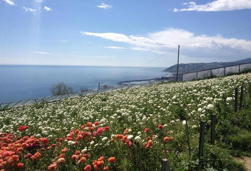 فندق Villa Mont Des Oliviers Citra 8055lt 1805 E 1807