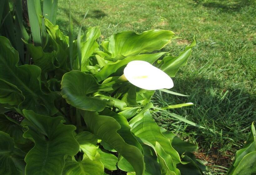 ホテル Villa Nada