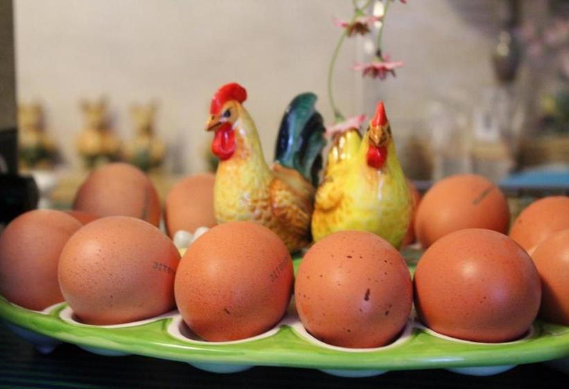 酒店 Villa Tiziana