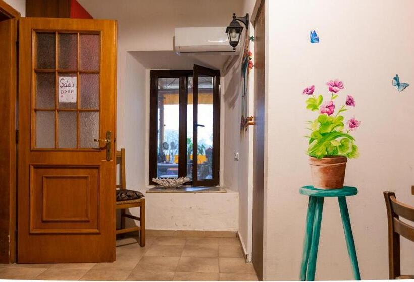 Mi Casa Es Tu Casa Shkodra Backpackers Hostel