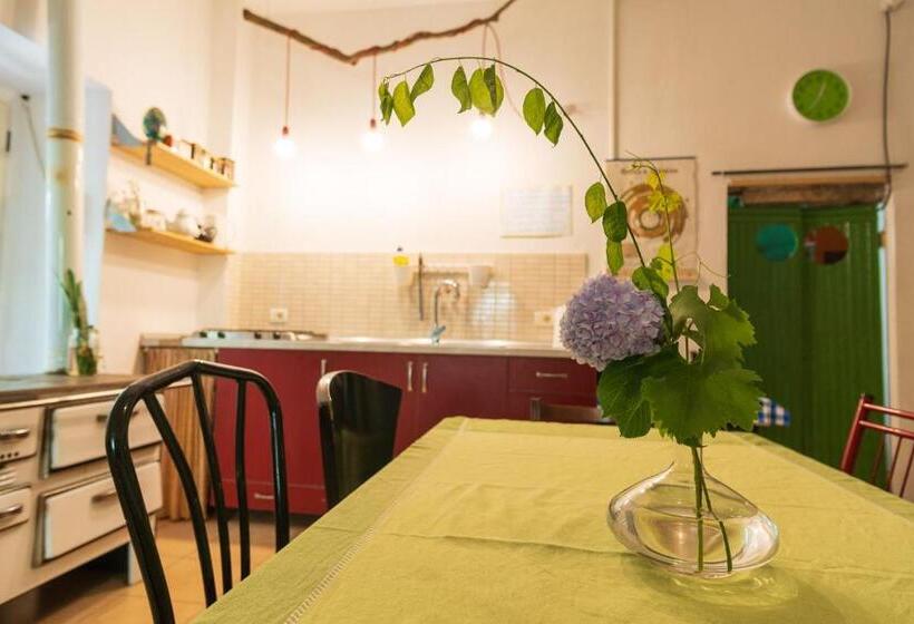 Mi Casa Es Tu Casa Shkodra Backpackers Hostel