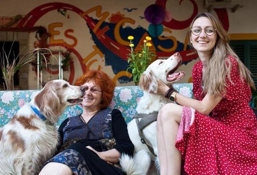 Mi Casa Es Tu Casa Shkodra Backpackers Hostel