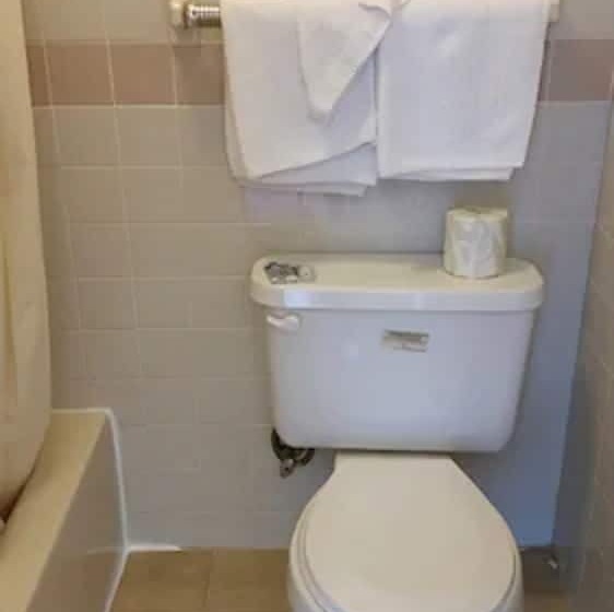 מוטל The Virginia Lodge