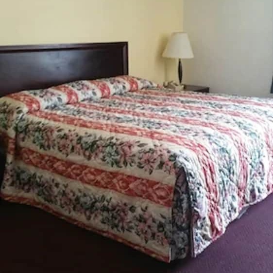 מוטל The Virginia Lodge