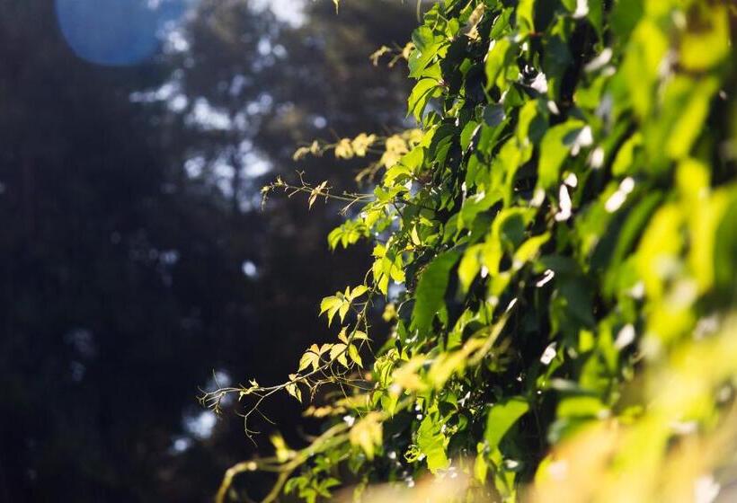 Roditsa Patritsia Apartments