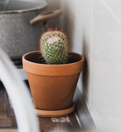 Roditsa Patritsia Apartments