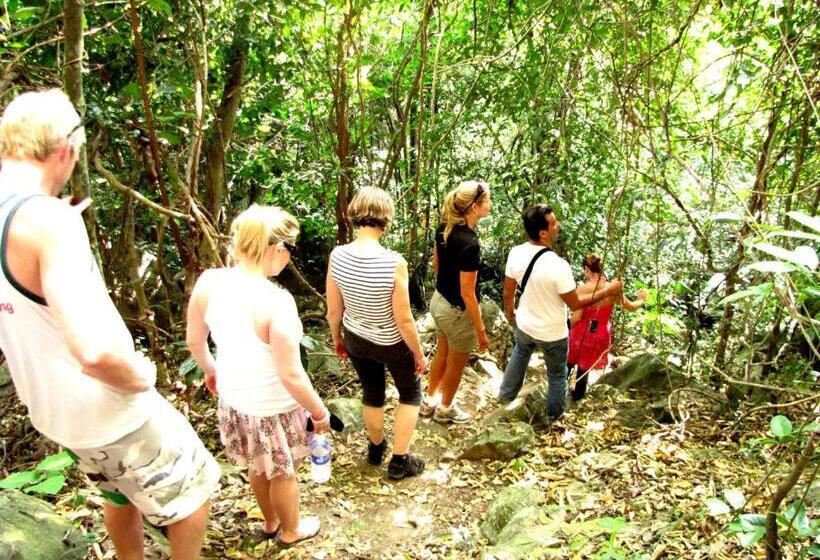 Whisper Nature Bungalow & Resort