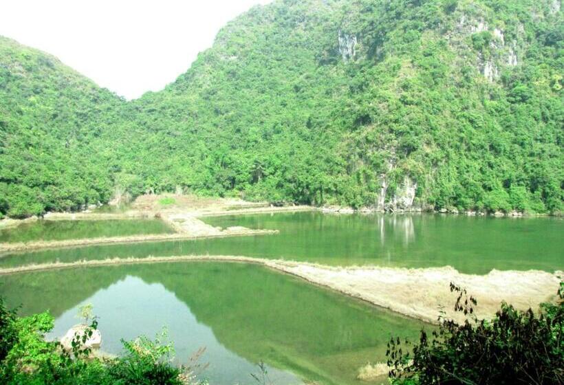 Whisper Nature Bungalow & Resort