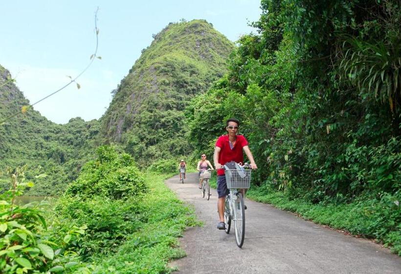 Whisper Nature Bungalow & Resort