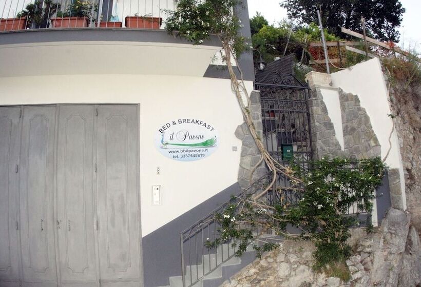 Отель B&b Il Pavone