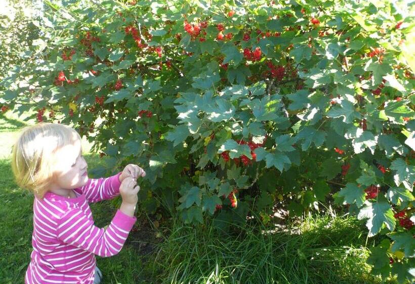 فندق B&b Lomamokkila