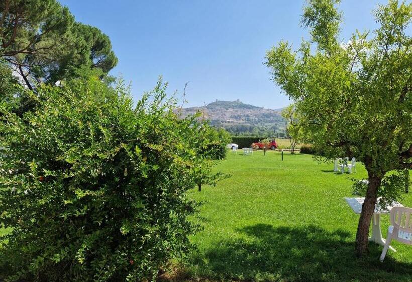 Отель Bellavista