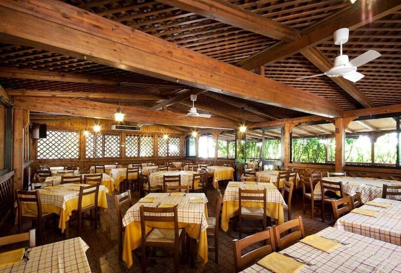 Отель Bellavista