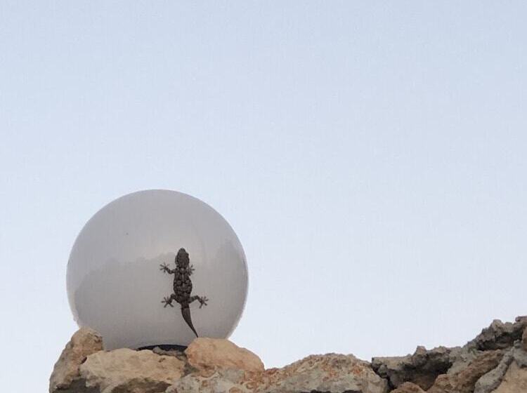 酒店 I Dammusi Del Blu Green