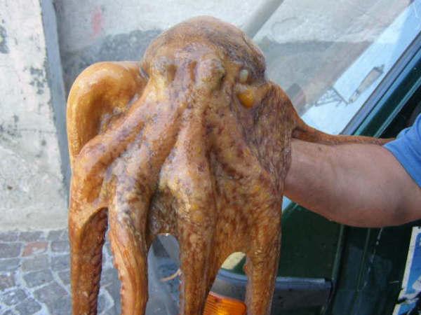 בית מלון כפרי Blue Island Villa Caterina