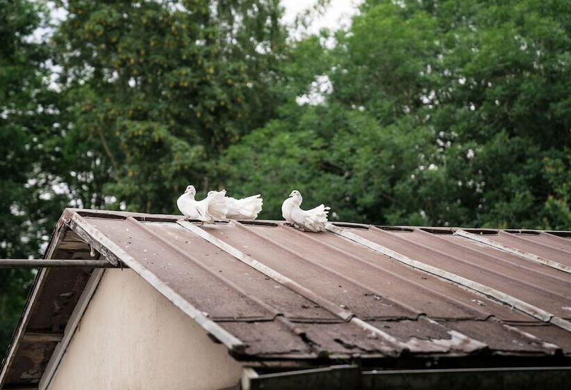 فندق By The Bridge Bed & Breakfast