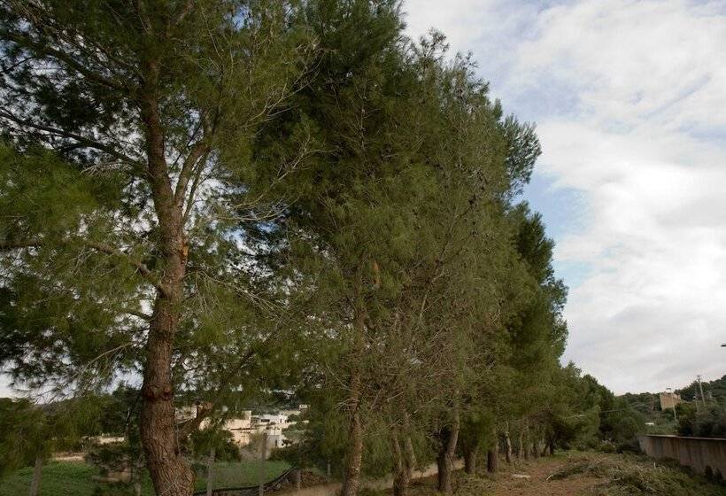 فندق Casasolare Rakalia