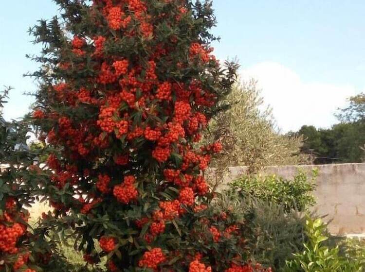 فندق Casasolare Rakalia