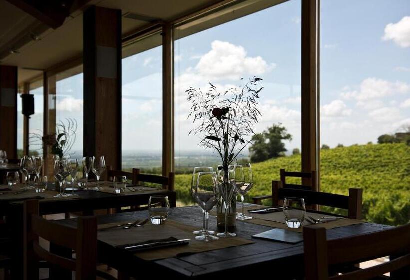 בית מלון כפרי Cincinnato Wine Resort