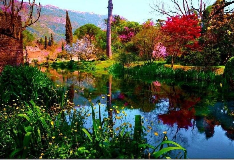 בית מלון כפרי Cincinnato Wine Resort