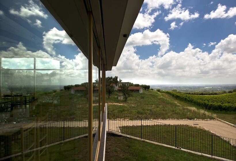 בית מלון כפרי Cincinnato Wine Resort