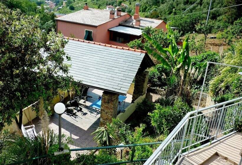 هتل Costa Morroni