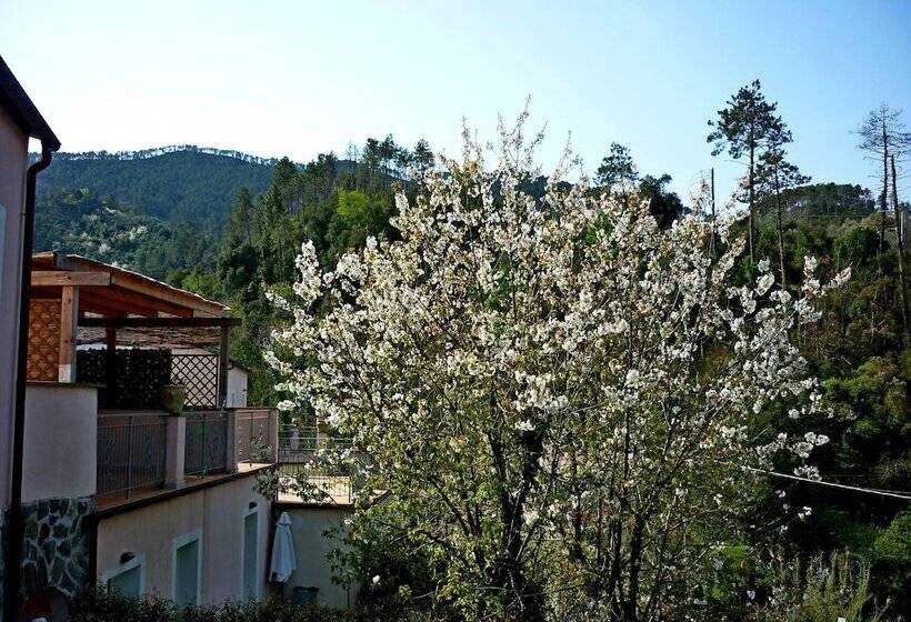 هتل Costa Morroni