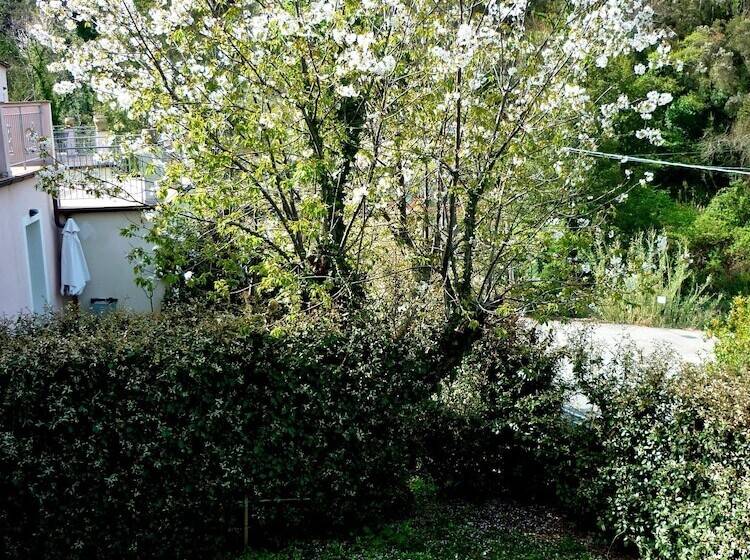 هتل Costa Morroni