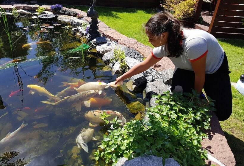 ホテル Ferie På Toppen