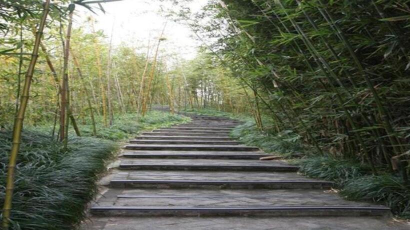 Otel Greentree Inn Chongming Nanmen Express