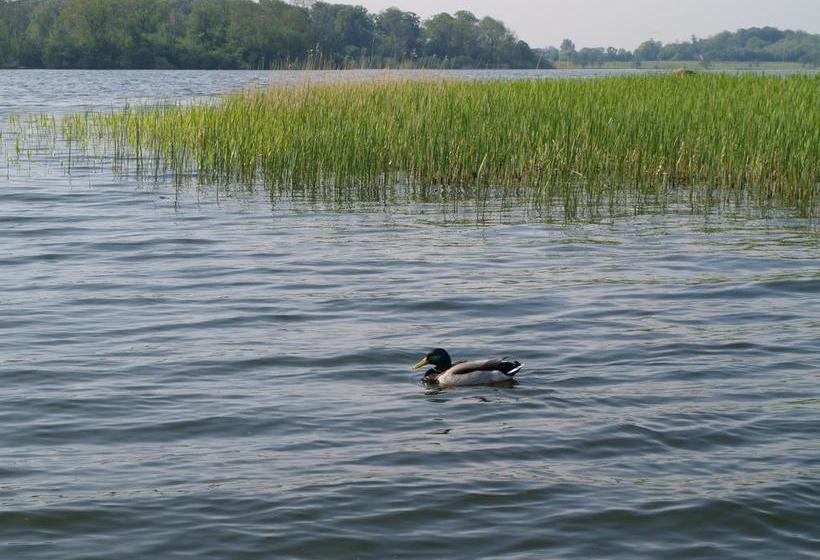 Отель Hostel Maribo Vandrerhjem