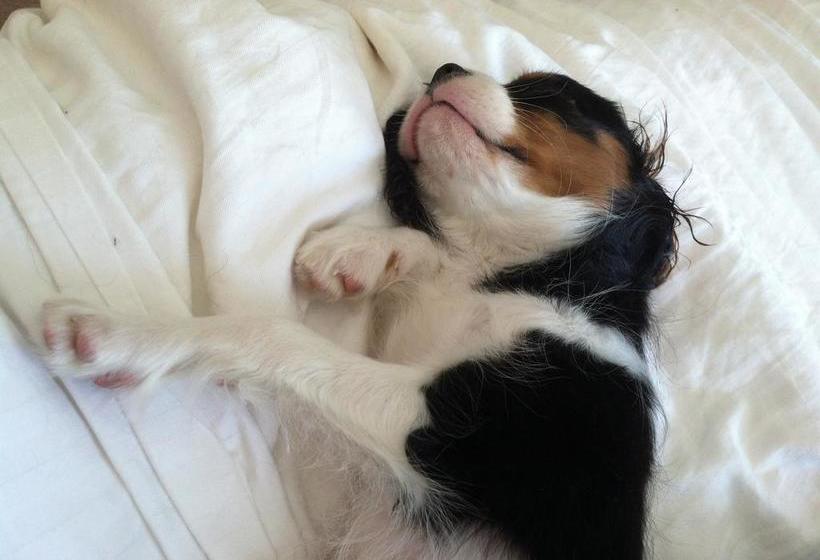 Отель Hostel Maribo Vandrerhjem