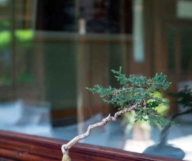 هتل Jun Bo Xuan Boutique