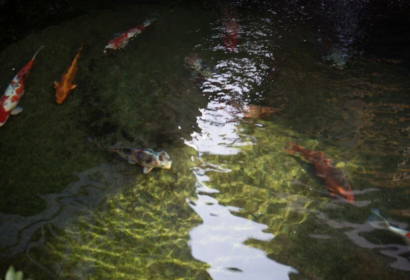 هتل Jun Bo Xuan Boutique