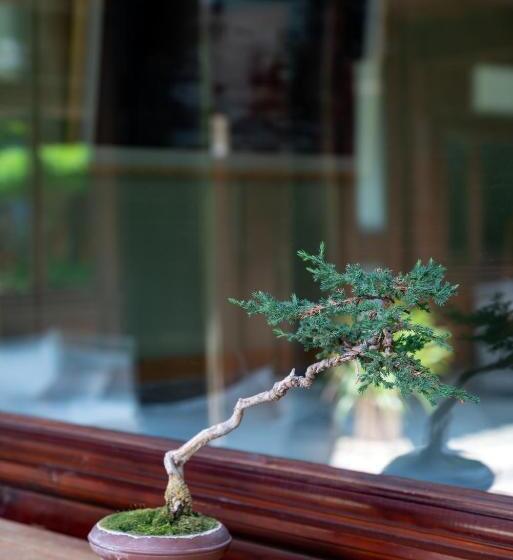 هتل Jun Bo Xuan Boutique