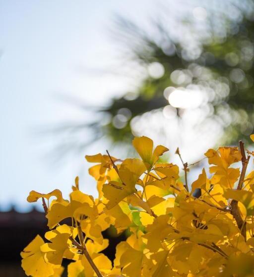 هتل Jun Bo Xuan Boutique