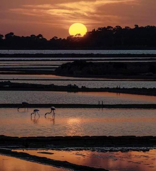 Отель La Mimosa Case Vacanze