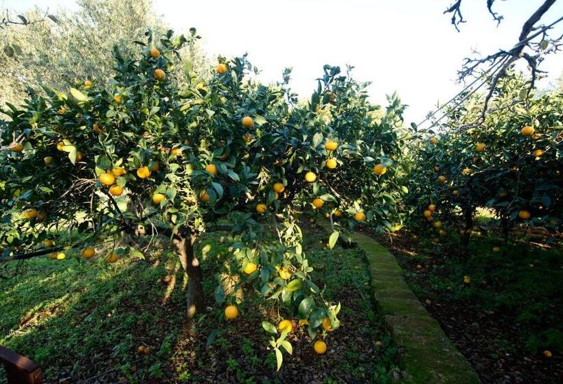 Отель La Mimosa Case Vacanze