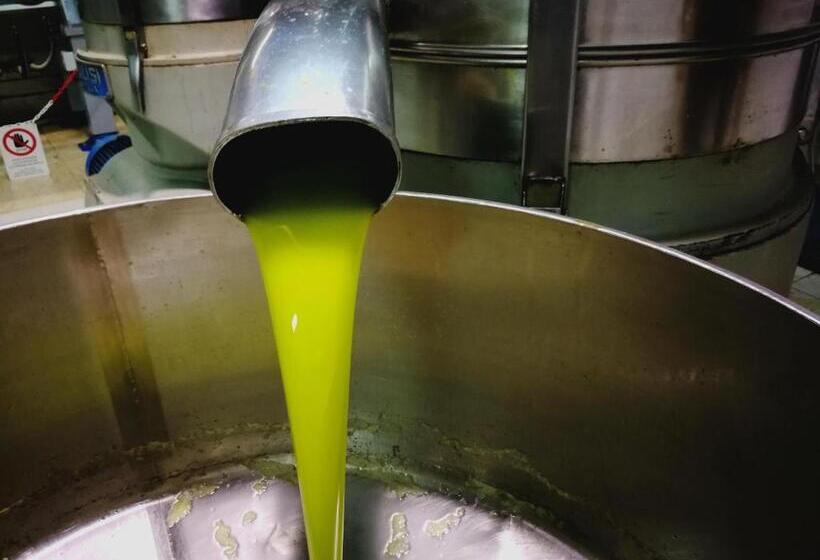 Отель La Mimosa Case Vacanze