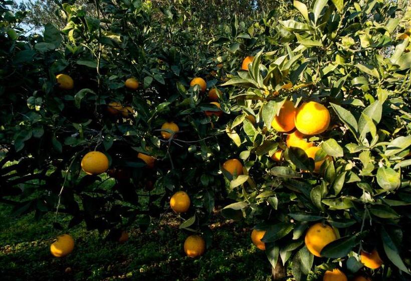 Отель La Mimosa Case Vacanze