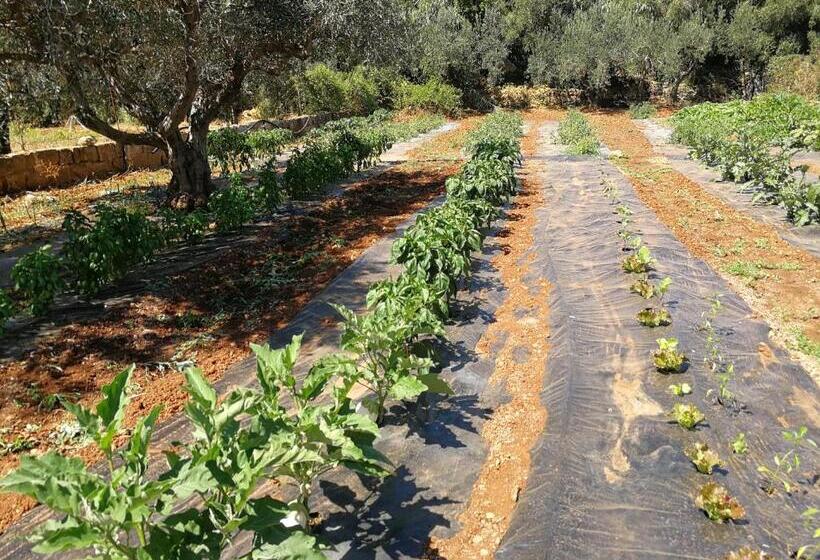 Отель La Mimosa Case Vacanze