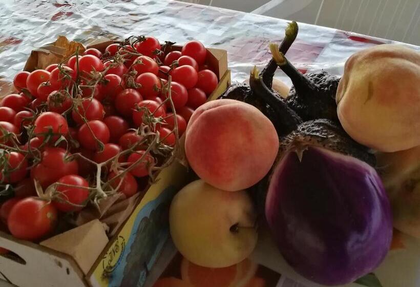 Отель La Mimosa Case Vacanze