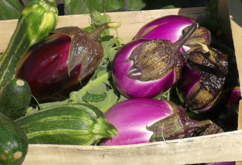 Отель La Mimosa Case Vacanze