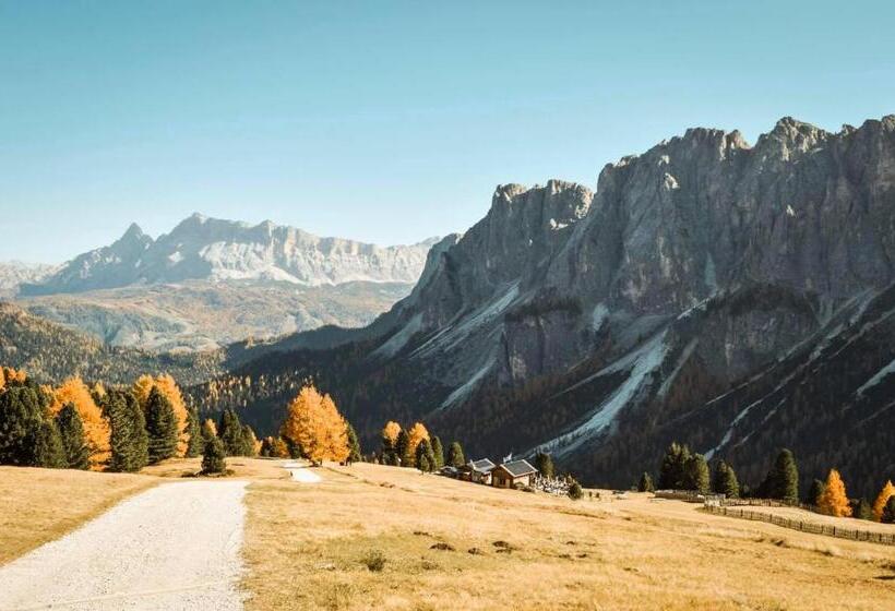 בית מלון כפרי Onach