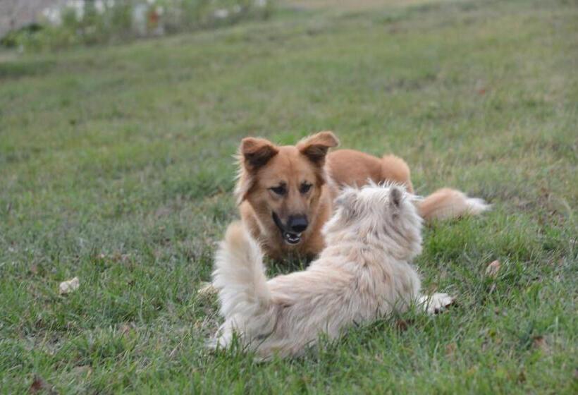 בית מלון כפרי Podere Le Olle B&b