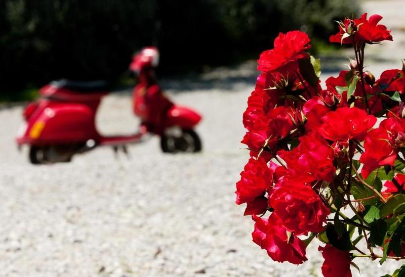 בית מלון כפרי Podere Le Olle B&b