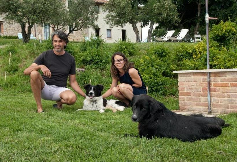 בית מלון כפרי Podere Le Olle B&b