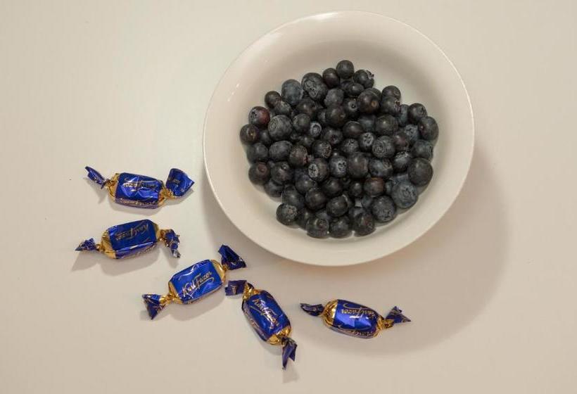 ホテル Rovaniemi Apartments